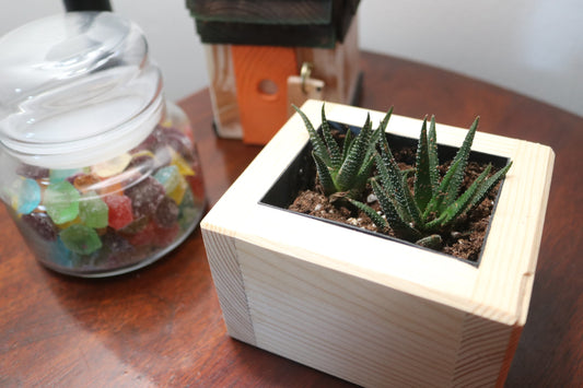 Wood Planter